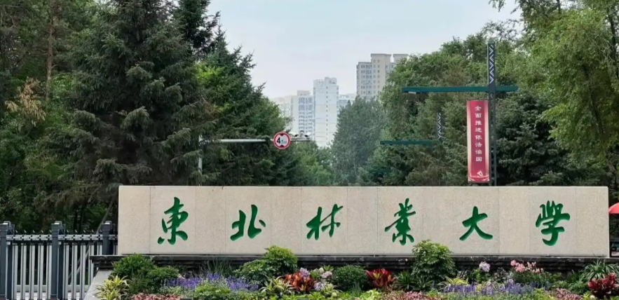 2024年东北林业大学招生计划(河南考生专属)|专业人数+学费+学制全解析