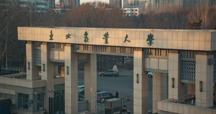 2024年东北农业大学招生计划(河南考生专属)|专业人数+学费+学制全解析