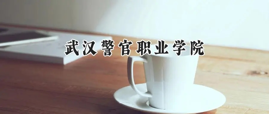 2025年武汉警官职业学院录取分数线：重庆最低426分