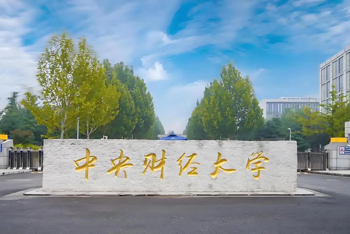 2024年中央财经大学招生计划