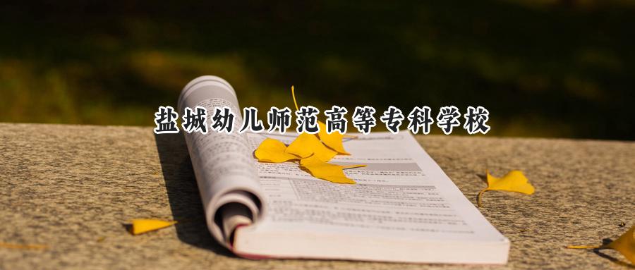 2025年盐城幼儿师范高等专科学校录取分数线：重庆最低373分