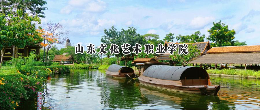 2025山东文化艺术职业学院录取分数线：山东最低316分