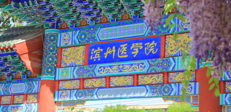 2024年滨州医学院招生计划(河南考生专属)|专业人数+学费+学制全解析