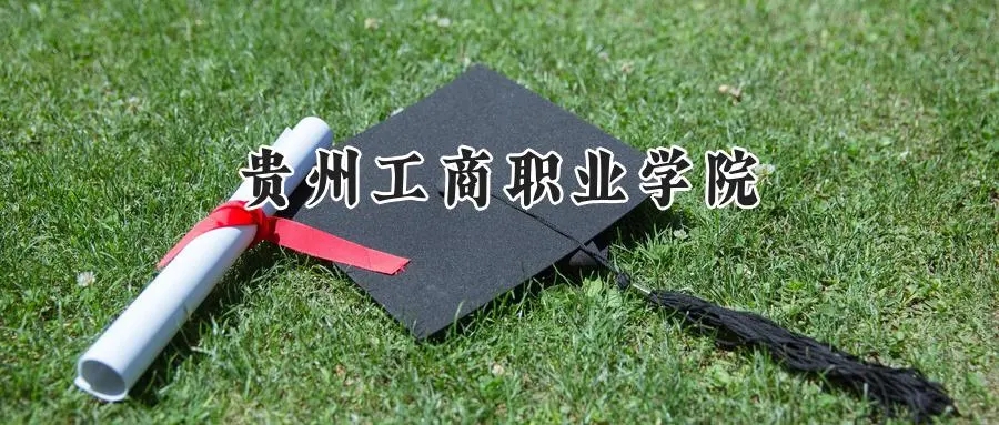 2025年贵州工商职业学院录取分数线：山东最低181分