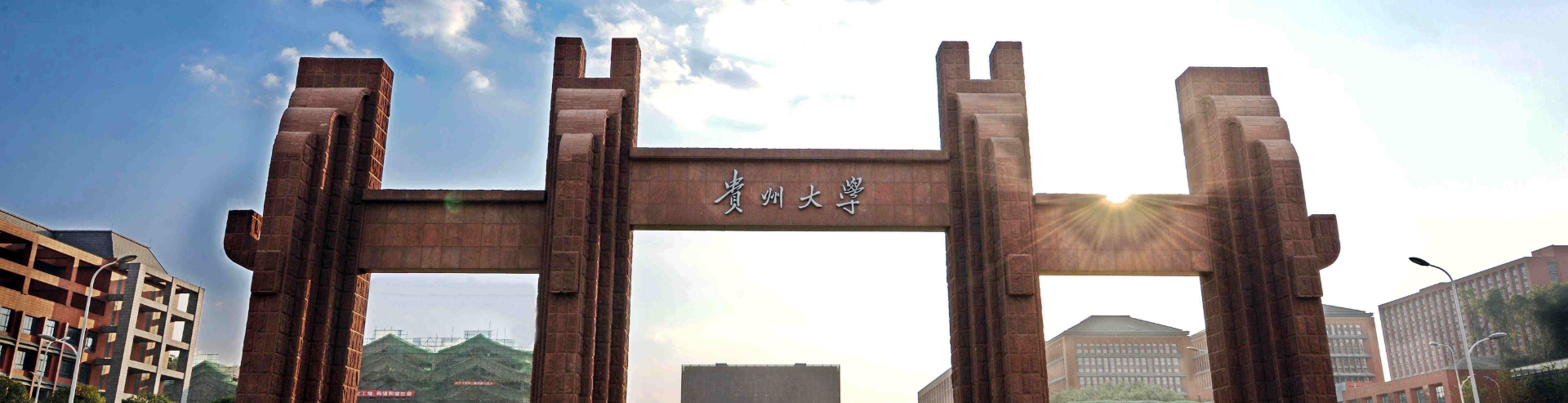 贵州大学的王牌专业有哪些？录取分数线是多少？