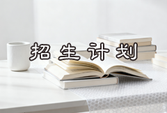 2023年鹤壁汽车工程职业学院招生计划
