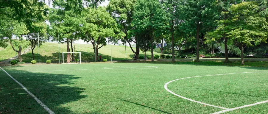 如何填报征集志愿？征集志愿的填报流程是什么？