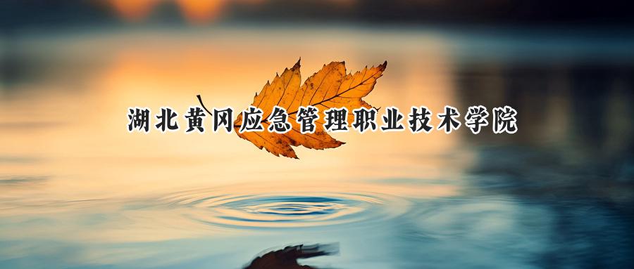 2025年湖北黄冈应急管理职业技术学院录取分数线：山东最低387分