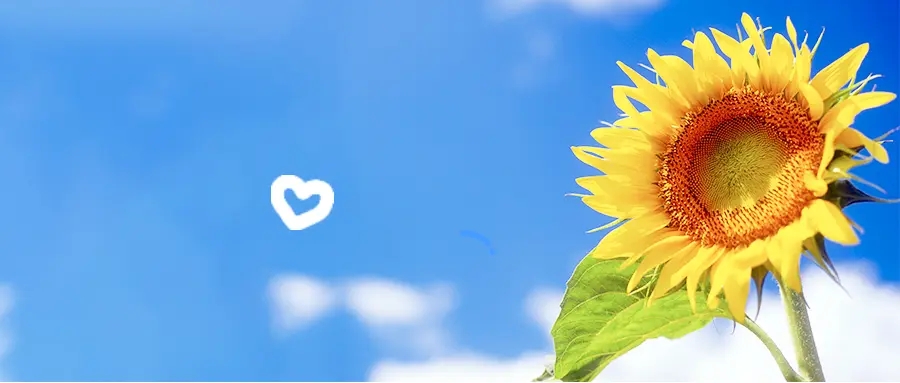 杭州专科学校排名前十公办，排名情况一览表