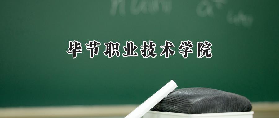 2025年毕节职业技术学院录取分数线:重庆最低337分