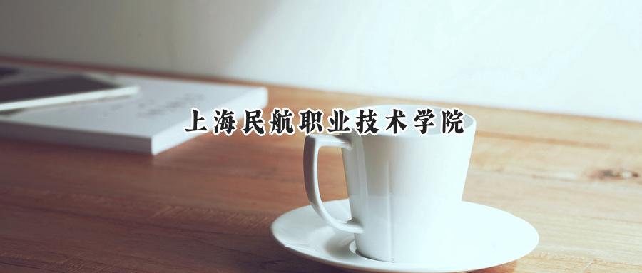 2025年上海民航职业技术学院录取分数线：山东最低338分