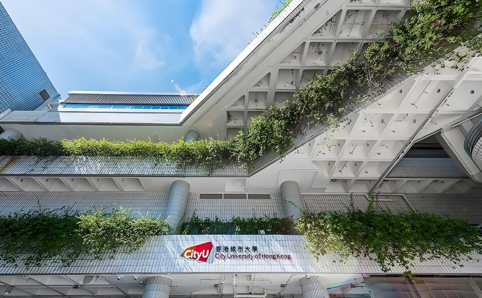 一般人不上香港城市大学是为什么？为什么不值得去报考？