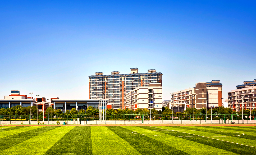 2024年郑州信息科技职业学院招生计划