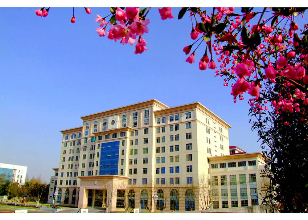 陆军工程大学是211还是985高校?