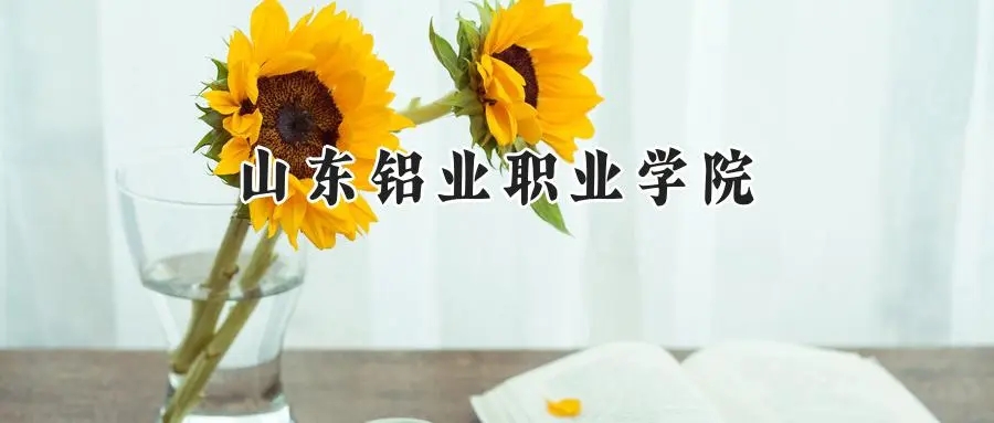 2025年山东铝业职业学院录取分数线：重庆最低321分