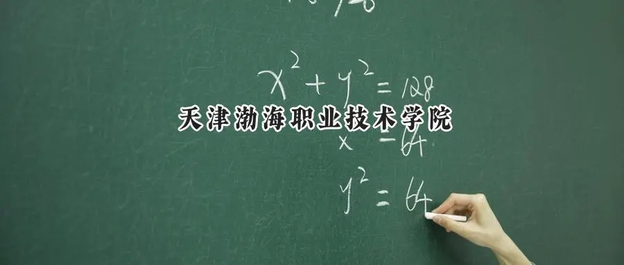 2025年天津渤海职业技术学院录取分数线：山东最低403分