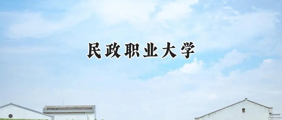 2025民政职业大学录取分数线：山东最低423分
