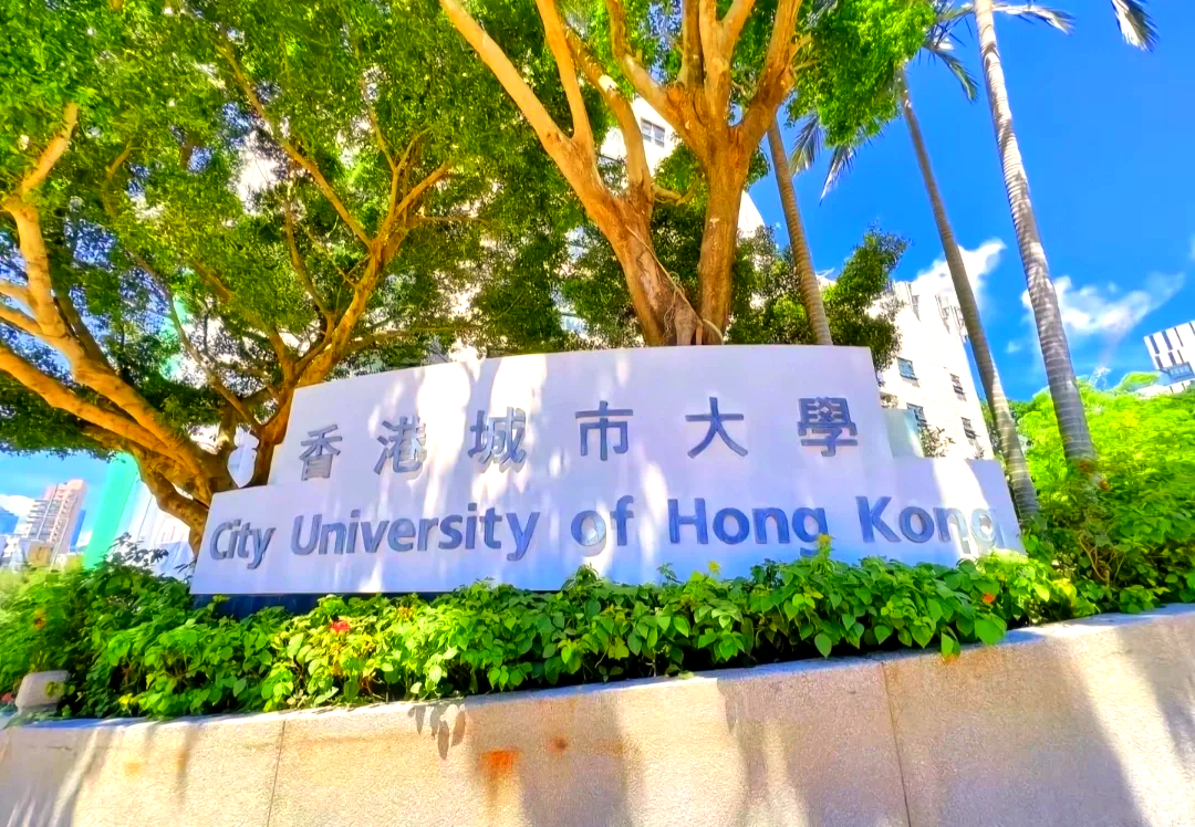 一般人不上香港城市大学是为什么？为什么不值得去报考？