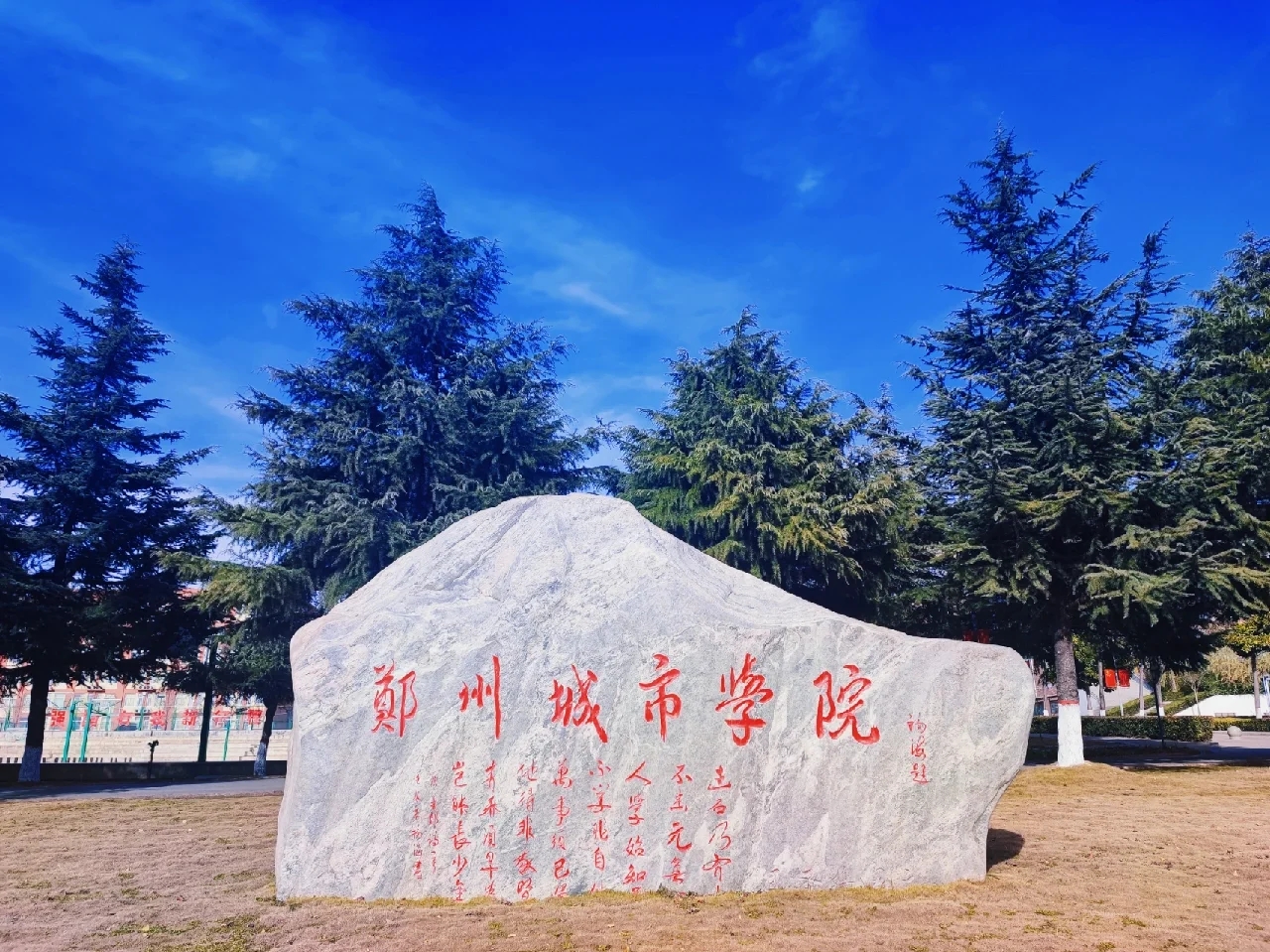 2024年郑州城市职业学院招生计划