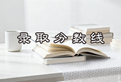 2022年信阳艺术职业学院院校录取分数线